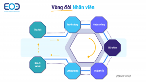 Vòng đời nhân viên