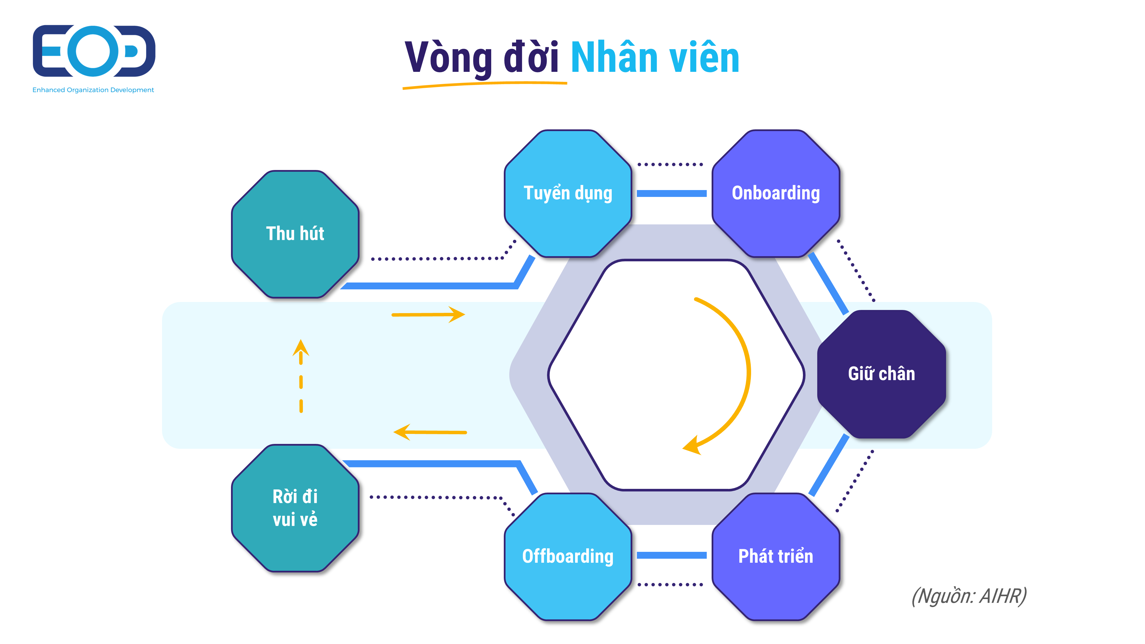 Mô hình vòng đời nhân viên trong doanh nghiệp